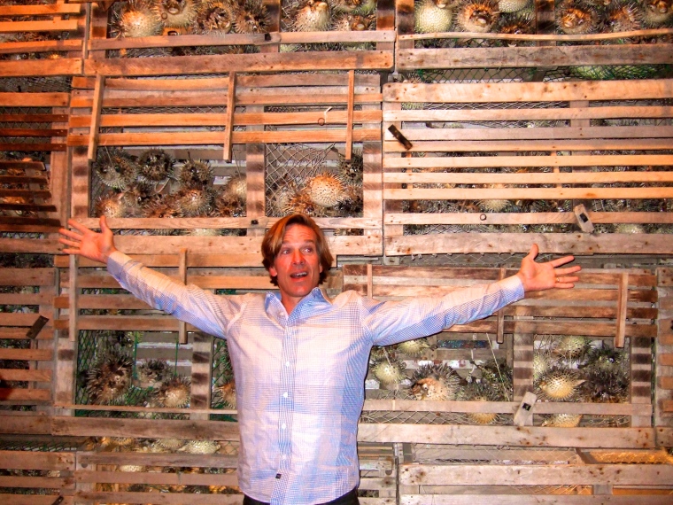Loved this wall of dried pufferfish!